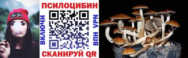даркнет сайт  Шахунья  Галлюциногенные грибы Psilocybine cubensis 
